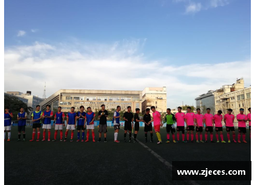 新纽卡斯尔联壁纸：激情足球的魅力画卷